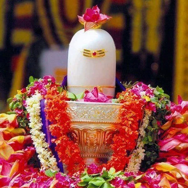 kashi vishwanath rudrabhishek online booking